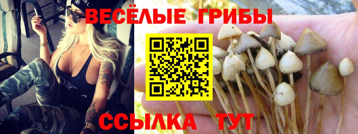 Азов  Псилоцибиновые грибы Magic Shrooms  Галлюциногенные грибы Psilocybe  Вход с VPN 
